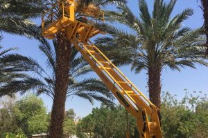 b7f25b88-d2a8-402b-994e-7b7c80a264ee