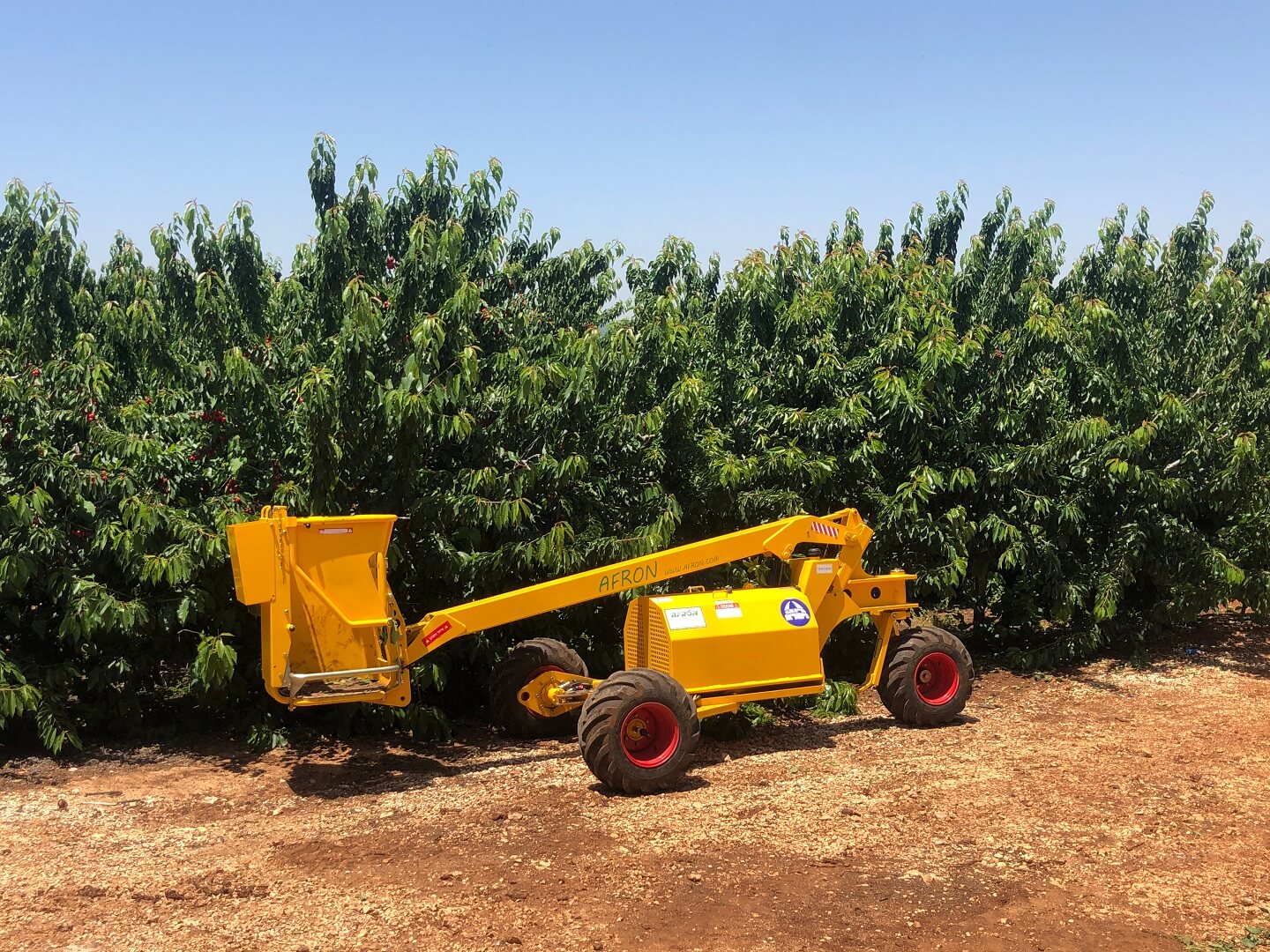 SA200 - Afron - Developing Innovative Pruning & Hedging Solutions