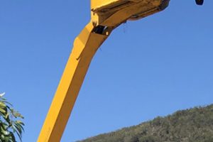 AF-header-MO copy2
